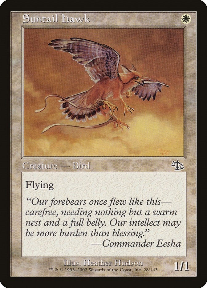 Suntail Hawk (28) (JUD)