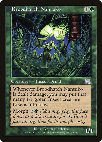 Broodhatch Nantuko (250) (ONS)