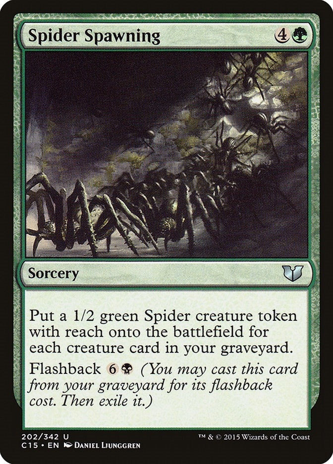 Spider Spawning (202) (C15)