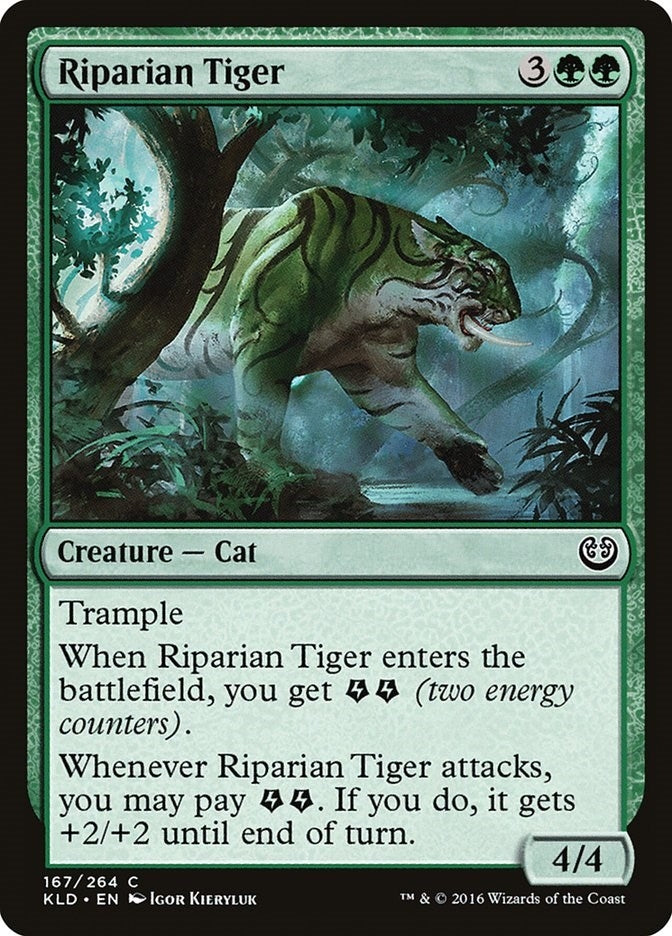 Riparian Tiger (167) (KLD)