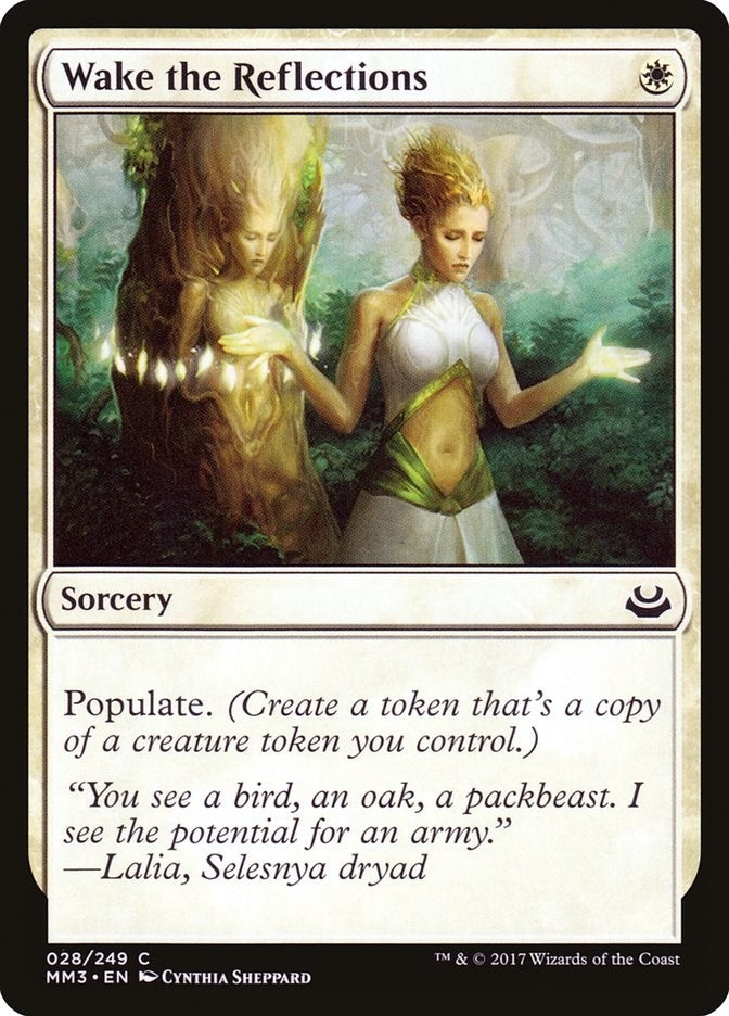 Wake the Reflections (28) (MM3)