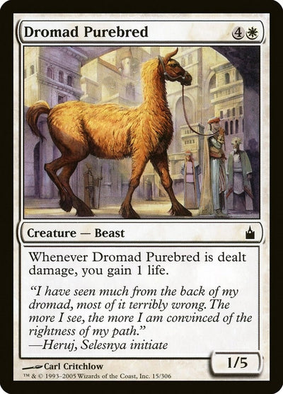 Dromad Purebred (15) (RAV)