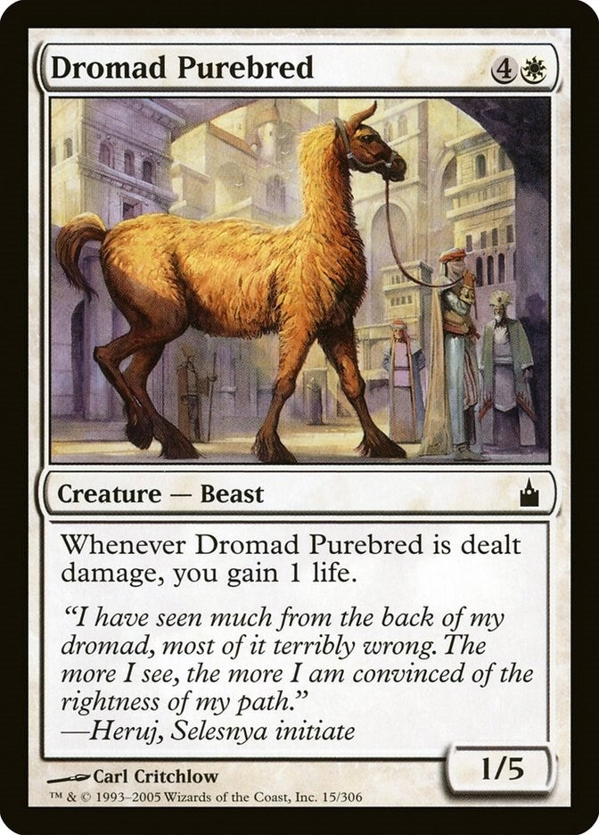 Dromad Purebred (15) (RAV)