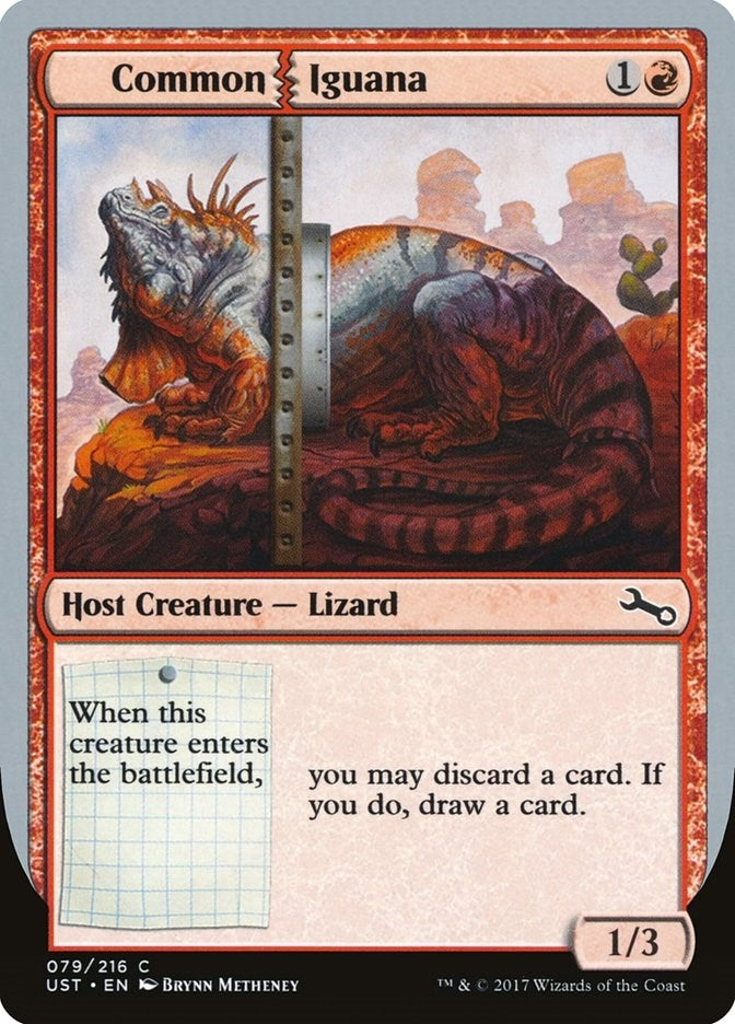Common Iguana (79) (UST)