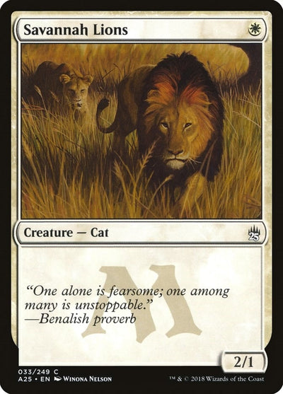 Savannah Lions (33) (A25)