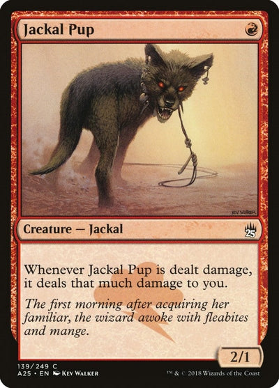 Jackal Pup (139) (A25)