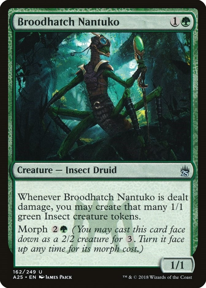 Broodhatch Nantuko (162) (A25)