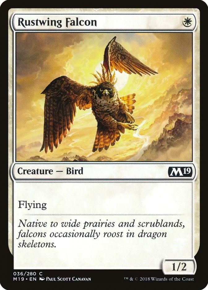 Rustwing Falcon (36) (M19)
