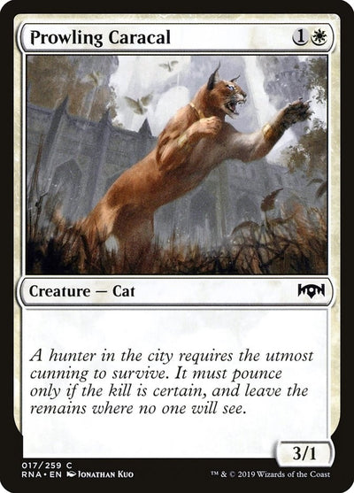 Prowling Caracal (17) (RNA)