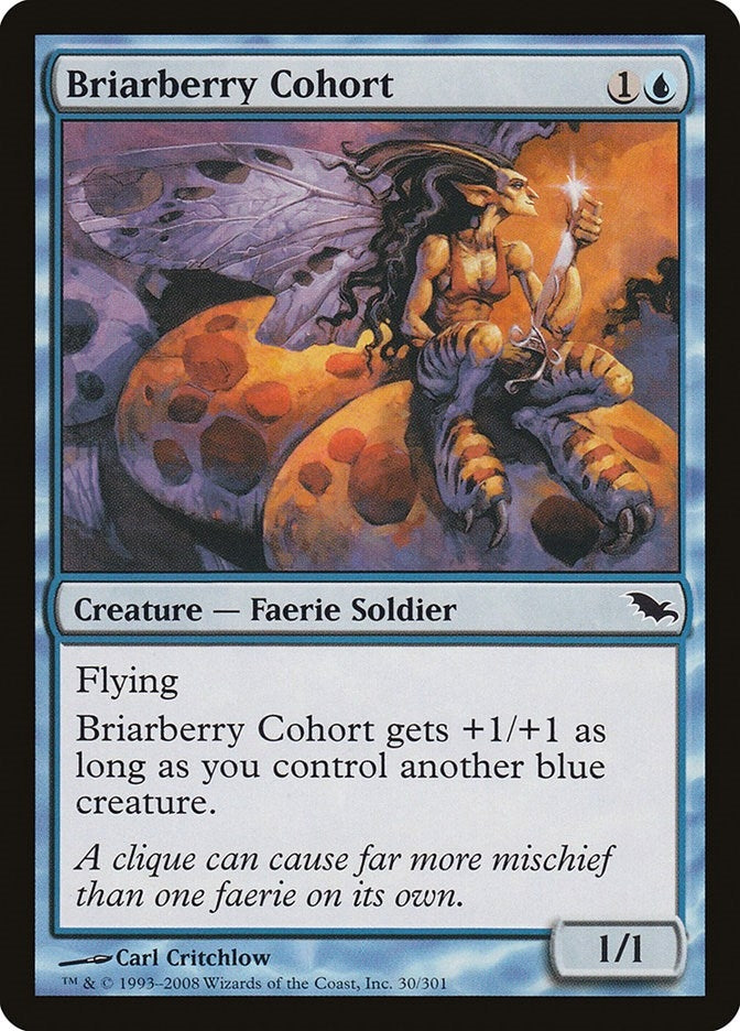 Briarberry Cohort (30) (SHM)