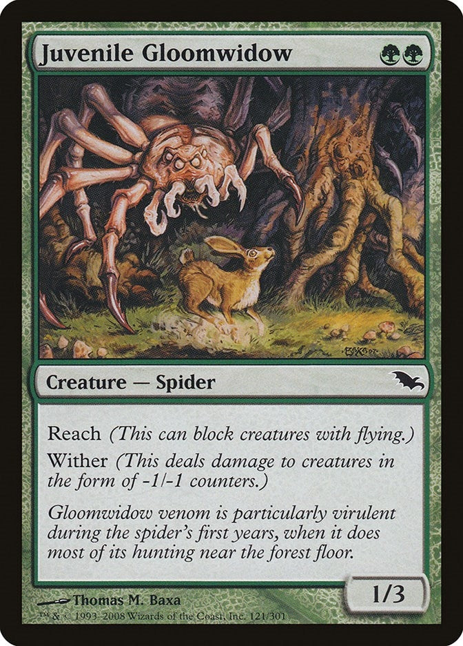 Juvenile Gloomwidow (121) (SHM)