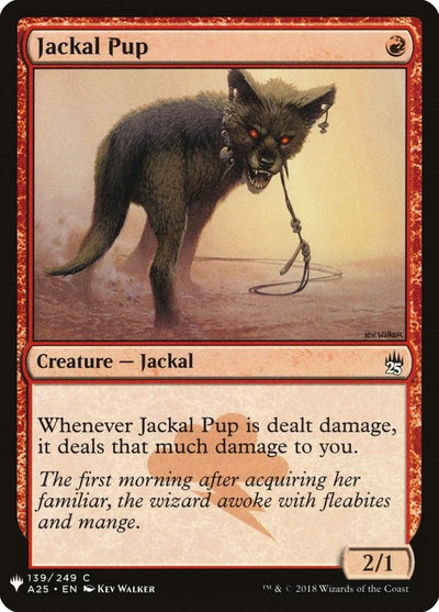 Jackal Pup (139) (LIST)