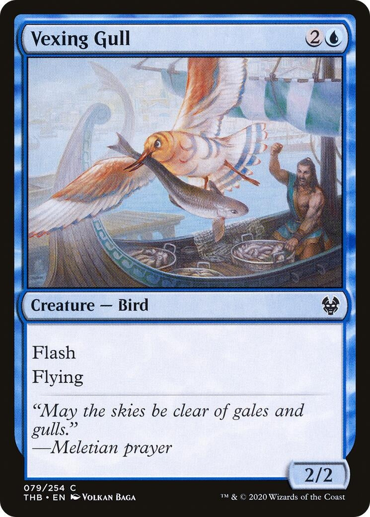 Vexing Gull (79) (THB)