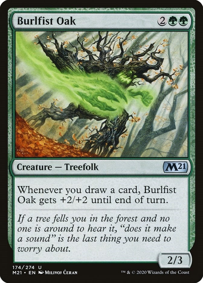Burlfist Oak (174) (M21)