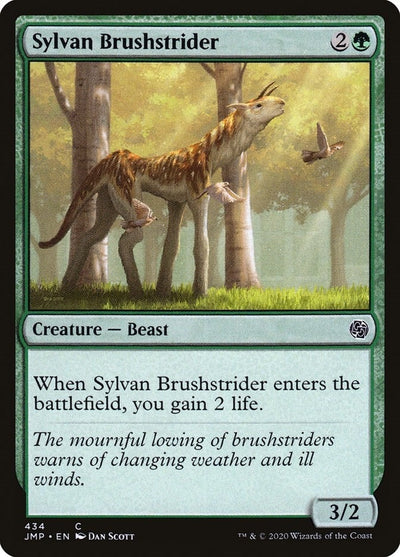 Sylvan Brushstrider (434) (JMP)