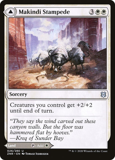 Makindi Stampede (26) (ZNR)