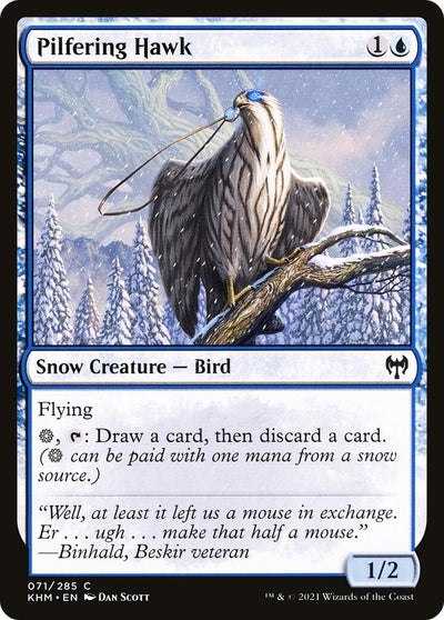 Pilfering Hawk (71) (KHM)