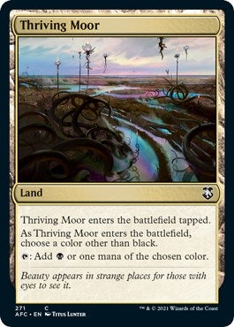 Thriving Moor (271) (AFC)