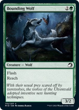 Bounding Wolf (170) (MID)