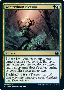 Winterthorn Blessing (251) (MID)
