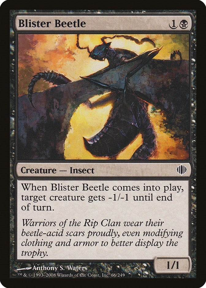 Blister Beetle (66) (ALA)