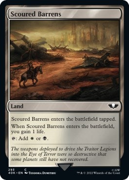 Scoured Barrens (293) (40K)