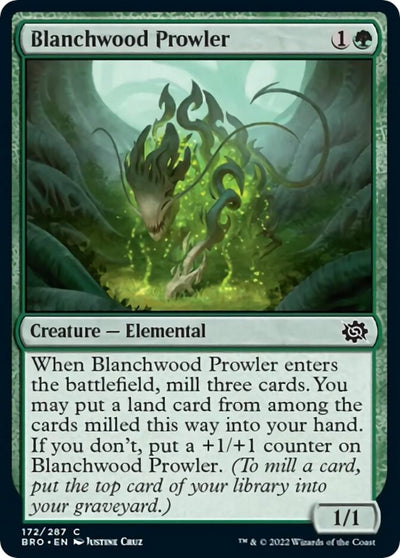 Blanchwood Prowler (172) (BRO)