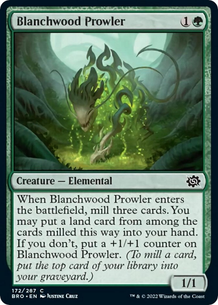 Blanchwood Prowler (172) (BRO)