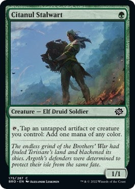 Citanul Stalwart (175) (BRO)