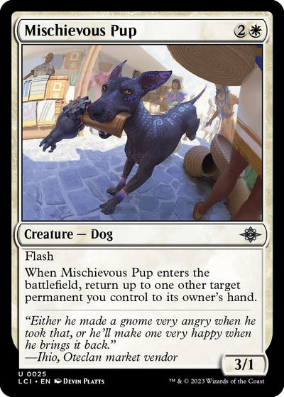Mischievous Pup (25) (LCI)
