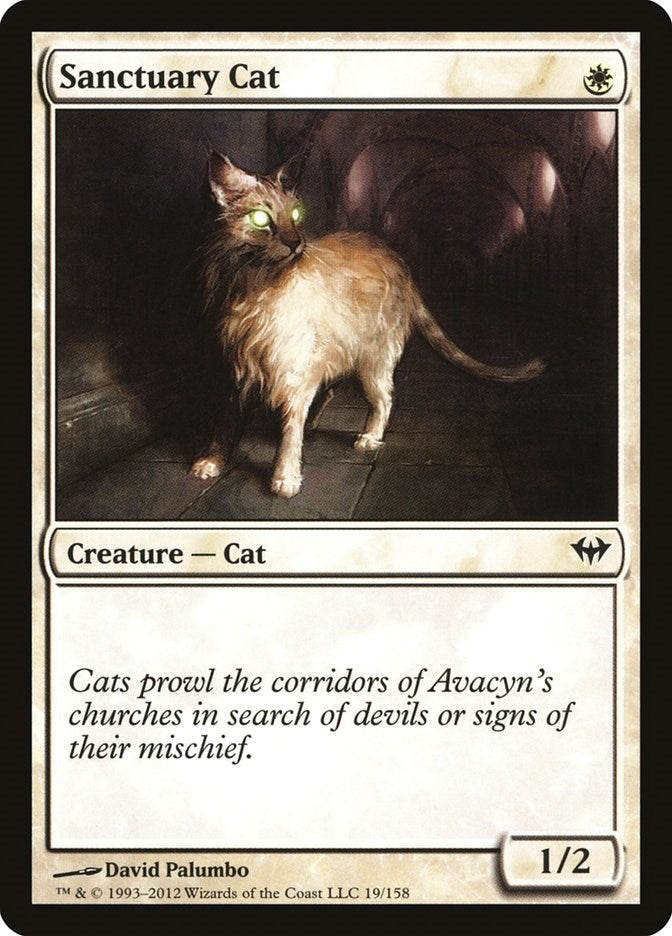 Sanctuary Cat (19) (DKA)