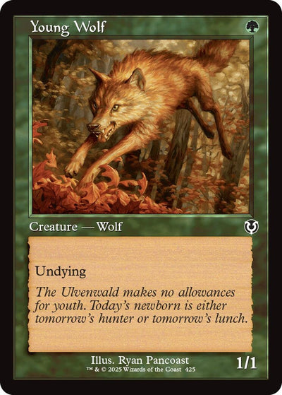 Young Wolf (Retro Frame) (425) (INR)