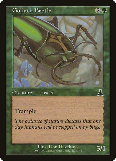 Goliath Beetle (107) (UDS)