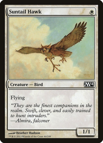 Suntail Hawk (40) (M14)