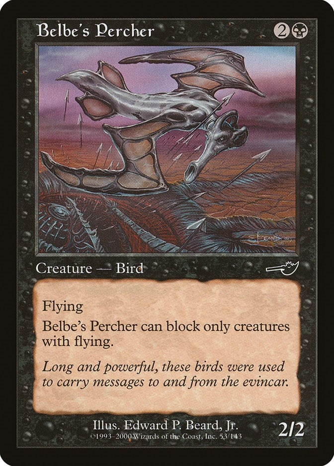 Belbe's Percher (53) (NMS)