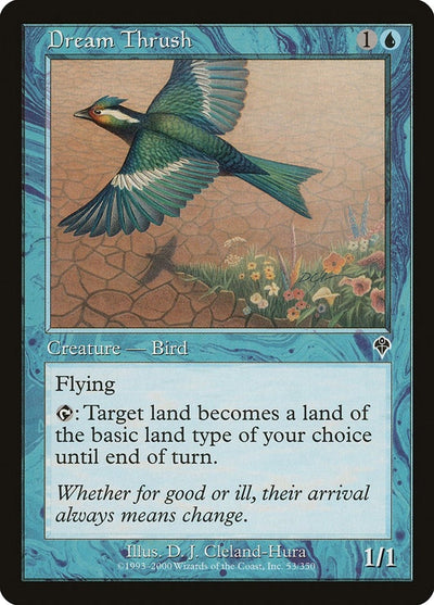 Dream Thrush (53) (INV)