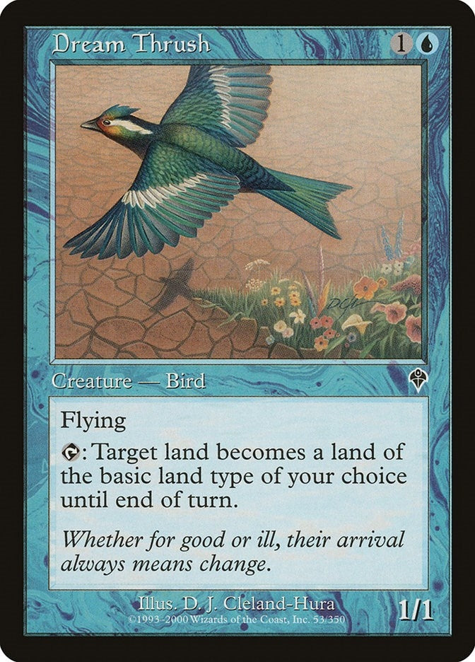 Dream Thrush (53) (INV)