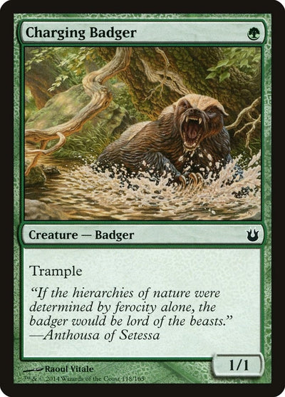Charging Badger (118) (BNG)