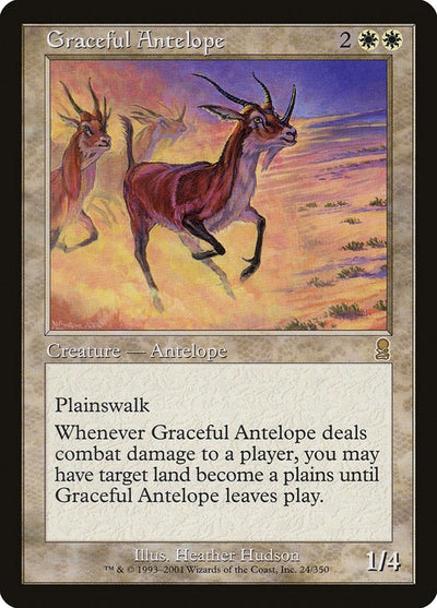 Graceful Antelope (24) (ODY)