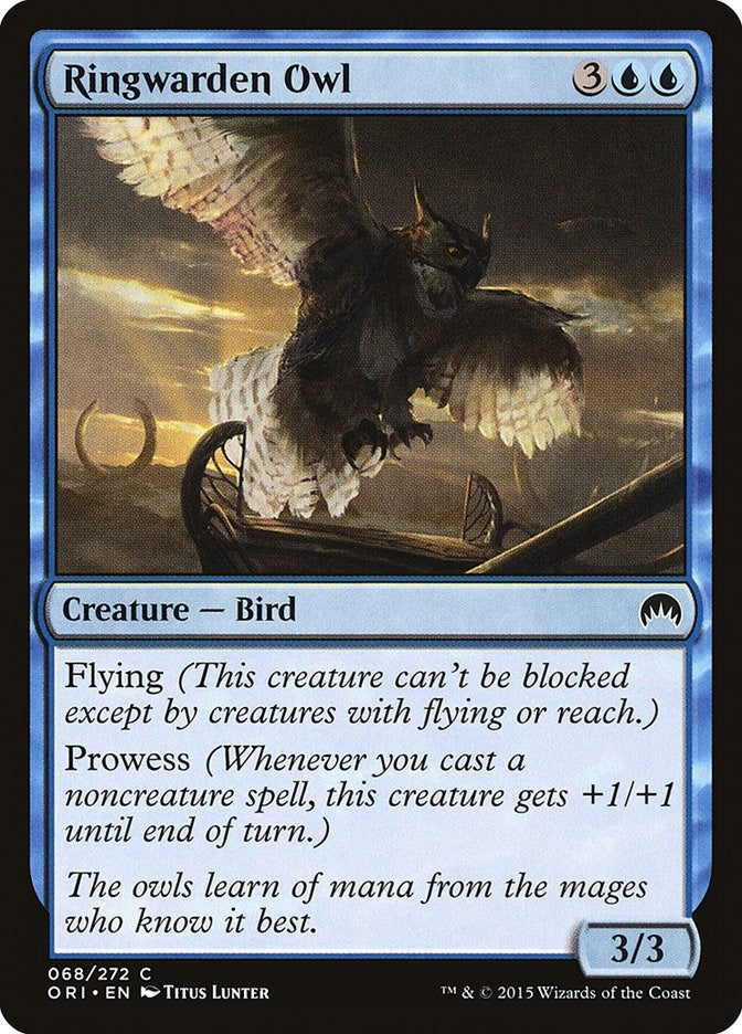 Ringwarden Owl (68) (ORI)